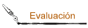 Evaluacin