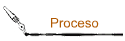 Proceso